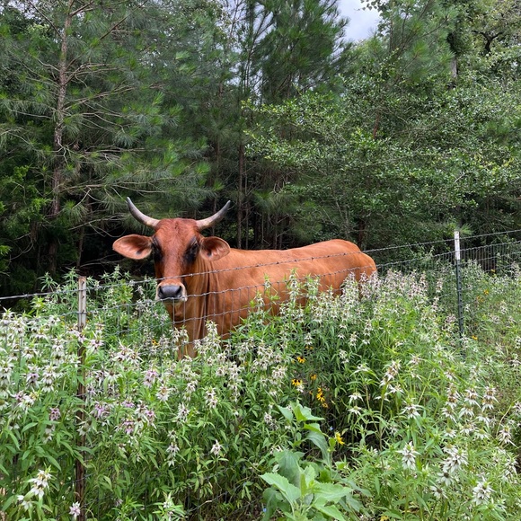 Meet your Posher, Jill - Picture 3 of 8